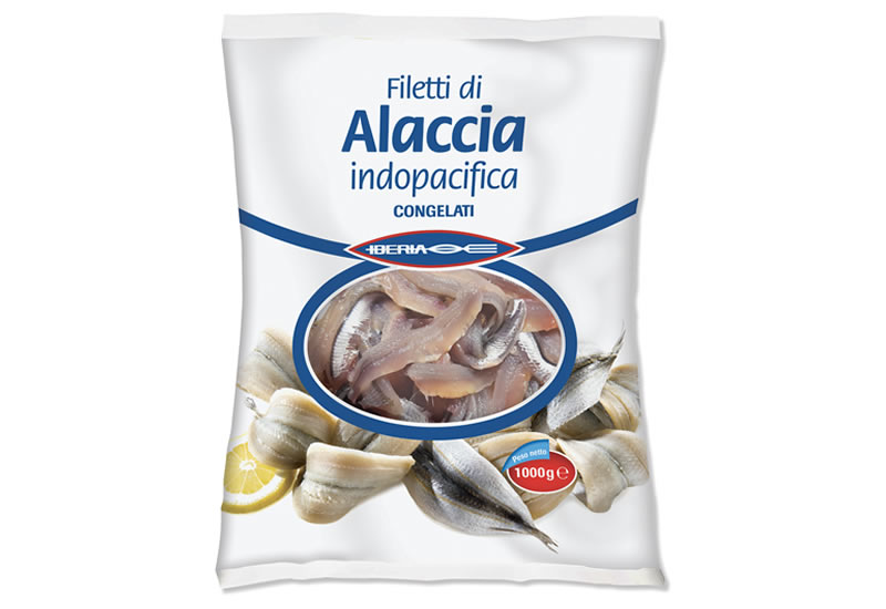 Filetti di Alaccia indopacifica